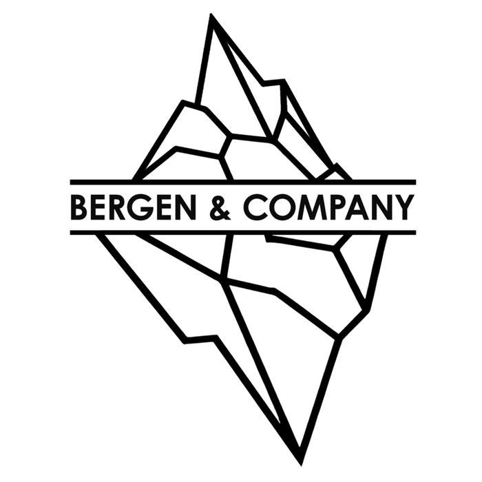 The Bergen & Company logo; which is a digital sketch of a giant iceberg with our name sandwiched in the middle.
